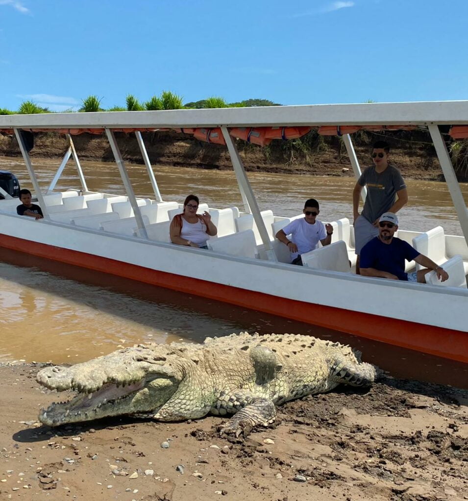 Tour cocodrilos en el río Tárcoles